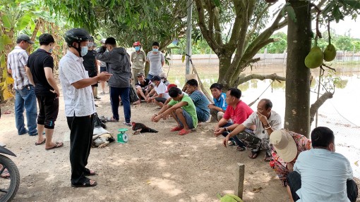 Công an Long Xuyên triệt phá tụ điểm đá gà ở phường Mỹ Hoà thu giữ trên 90 triệu đồng