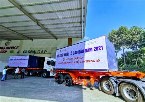 WB: Việt Nam thuộc nhóm đứng đầu châu Á về hồi phục kinh tế