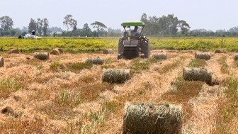 Nhạy bén trong làm ăn, nông dân thêm thu nhập