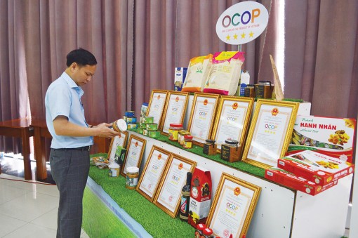 An Giang: “Tiếp sức” để các sản phẩm OCOP phát triển
