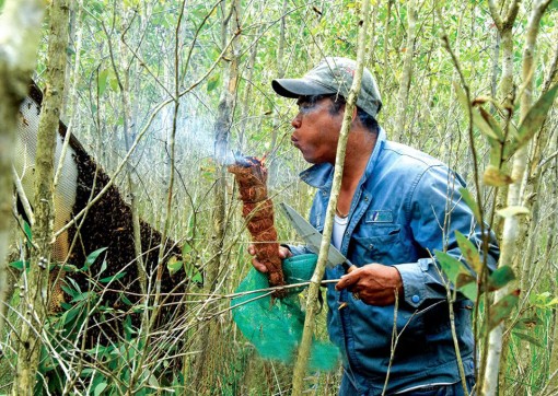 Chờ đón sự kiện “Hương rừng U Minh”