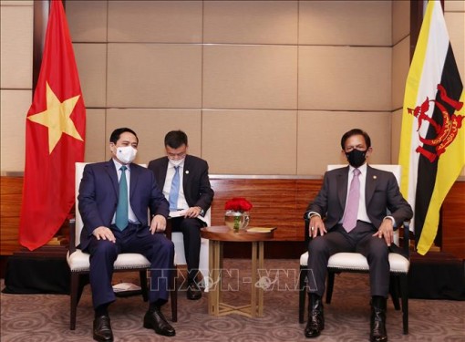 Thủ tướng Phạm Minh Chính hội kiến Quốc vương Brunei
