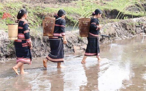 Lễ cúng Giọt nước - nét đẹp văn hóa của dân tộc Jrai ở Tây Nguyên