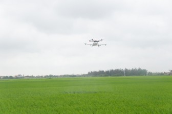 Dùng máy bay không người lái trong sản xuất lúa: Giảm sâu bệnh, nông dân nhẹ công
