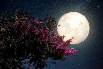 Đêm nay và mai, Việt Nam chiêm ngưỡng 'siêu trăng hồng' kỳ ảo