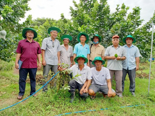 Nâng chất phong trào nông dân xứ cù lao