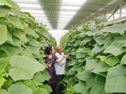 Lắp pin năng lượng mặt trời hỗ trợ người nghèo vùng Bảy Núi