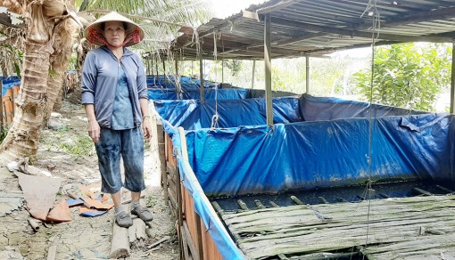 Nuôi lươn không bùn - “làm chơi… ăn thiệt”!