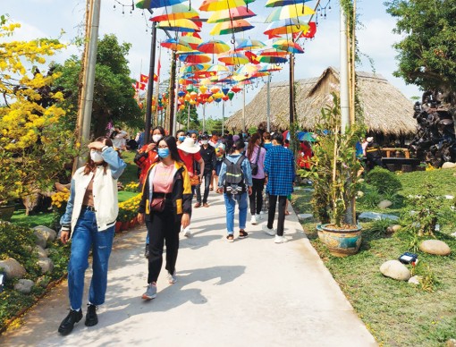 Du lịch mùa dịch bệnh