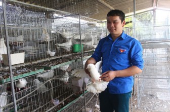 Bắc Ninh: Trồng măng tây xanh, nuôi chim bồ câu, xuất hiện nhiều tỷ phú trẻ
