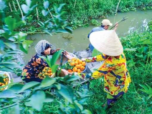 Làm gì khi liên kết du lịch và nông nghiệp?