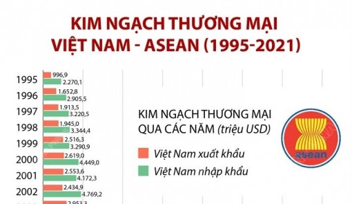Kim ngạch thương mại giữa Việt Nam và ASEAN