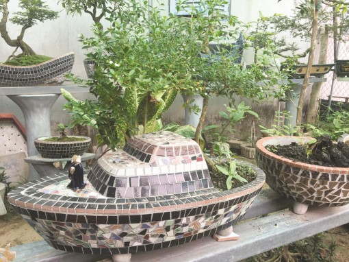 Độc đáo chậu cây cảnh hình chiếc thuyền