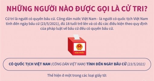 Những quy định về người được gọi là cử tri