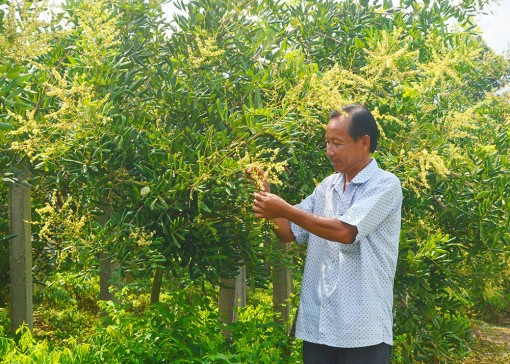 Hỗ trợ nông dân “thích nghi” cùng đại dịch