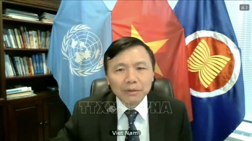 Việt Nam ủng hộ bầu cử tự do, công bằng ở Iraq