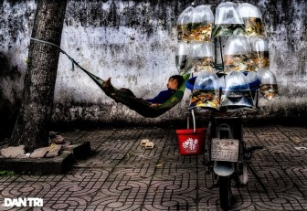 Nghệ sĩ nhiếp ảnh Việt Nam giành 2 huy chương cuộc thi ảnh quốc tế