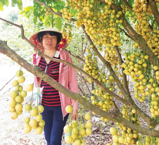 Xu hướng… du lịch sinh thái
