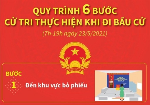 Quy trình 6 bước cử tri thực hiện khi đi bầu cử