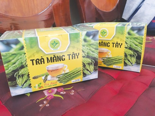 Hướng đến sản phẩm OCOP cho trà măng tây
