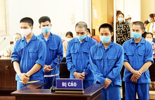 Đừng "cõng rắn cắn gà nhà"