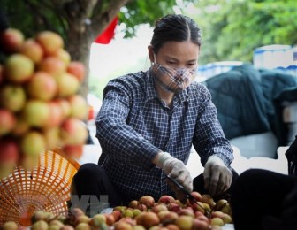 Chính phủ yêu cầu hỗ trợ tiêu thụ nông sản tỉnh Bắc Giang