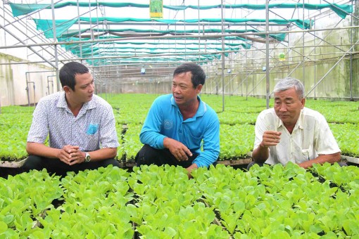 Nhiều nông dân ở TX. Tân Châu học tập và làm theo Bác