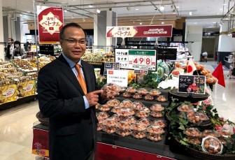 Người Nhật mua hết veo quả tiến vua giá gần nửa triệu đồng/kg, Bắc Giang tiếp tục "tấn công" thị trường Mỹ