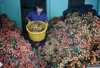 Bộ trưởng Lê Minh Hoan: Xây dựng mô hình tiêu thụ nông sản chính quy