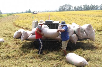 Tân Châu gặp nhiều khó khăn trong phát triển mới hợp tác xã nông nghiệp
