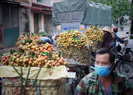 Tổng cục Quản lý thị trường triển khai kế hoạch hỗ trợ tiêu thụ nông sản