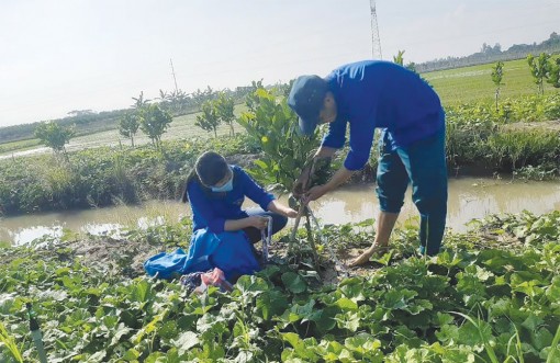 Thắp lên khát vọng làm giàu cho thanh niên