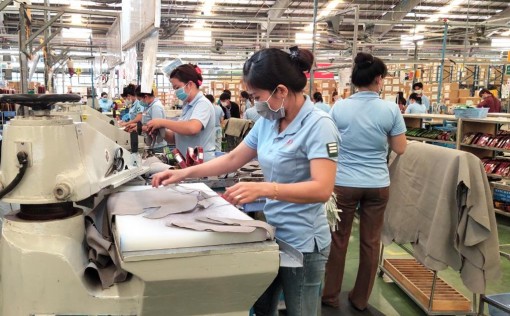 An Giang thành lập Tổ kiểm tra phòng, chống dịch bệnh COVID-19 tại các cơ sở sản xuất- kinh doanh ngoài cụm, khu công nghiệp