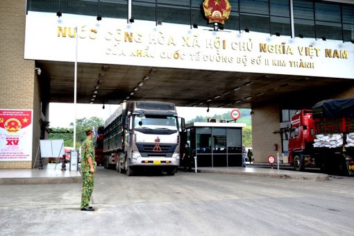 Mỗi ngày, hơn 500 tấn vải thiều Bắc Giang xuất khẩu qua cửa khẩu Lào Cai