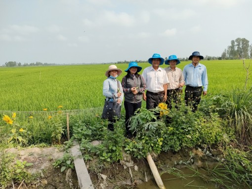 Ngành nông nghiệp An Giang tập trung thực hiện những nhiệm vụ trọng tâm