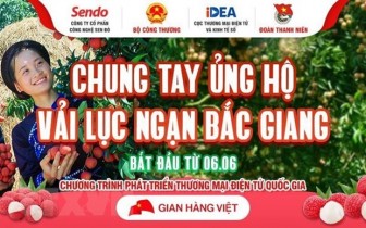 Các sàn thương mại điện tử chung tay tiêu thụ vải thiều Bắc Giang