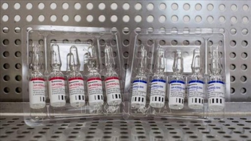 Serbia bắt đầu sản xuất vaccine Sputnik V