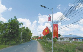 Đường về Phú Thành