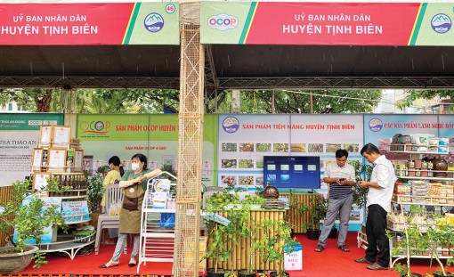 Nâng tầm sản phẩm OCOP xứ núi