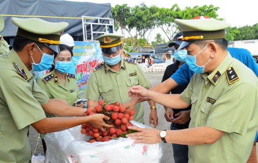 An Giang tiếp nhận lô vải thiều đầu tiên hỗ trợ tỉnh Bắc Giang tiêu thụ