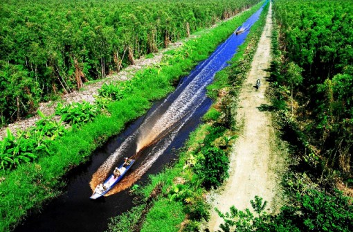 Khám phá rừng tràm U Minh Hạ