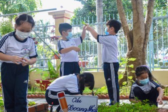 Trường Tiểu học Nguyễn Du ra mắt Công trình “Vườn trường em” năm học 2020- 2021