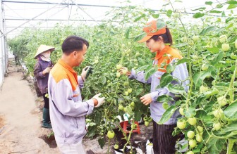 Bắc Ninh đẩy mạnh ứng dụng công nghệ cao vào sản xuất nông nghiệp