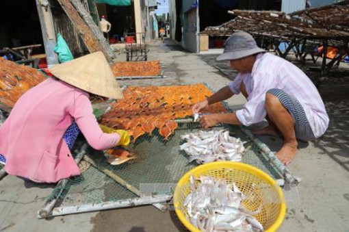 Ngư dân Gò Công Đông được mùa khai thác biển