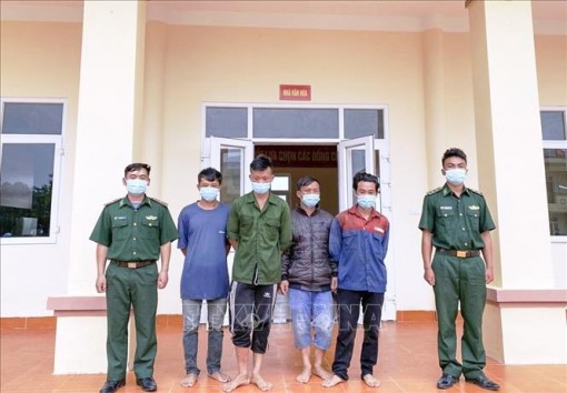Bắt giữ 4 đối tượng vượt biên trái phép