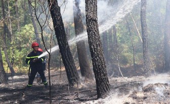 Cháy lớn tại rừng thông hàng chục năm tuổi ở Thừa Thiên Huế