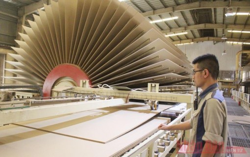 Phát triển bền vững giữa đại dịch