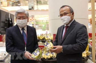 Chuối Việt Nam bắt đầu có chỗ đứng tại thị trường Nhật Bản