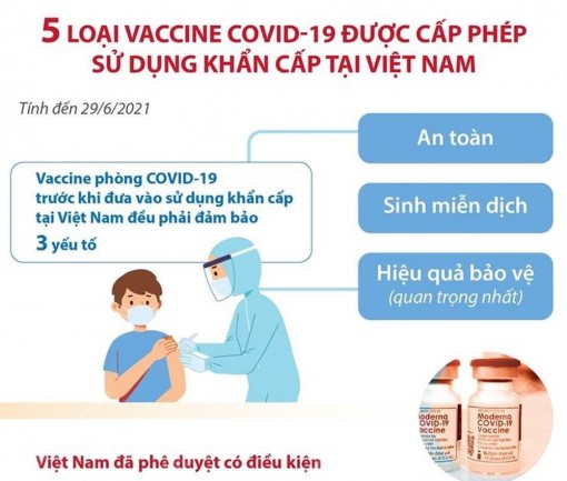 5 loại vaccine COVID-19 được cấp phép sử dụng khẩn cấp tại Việt Nam