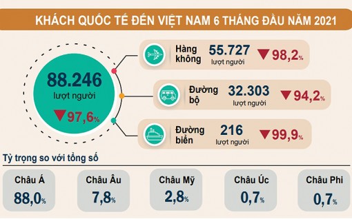 Sáu tháng đầu năm: khách quốc tế và doanh thu lữ hành giảm mạnh